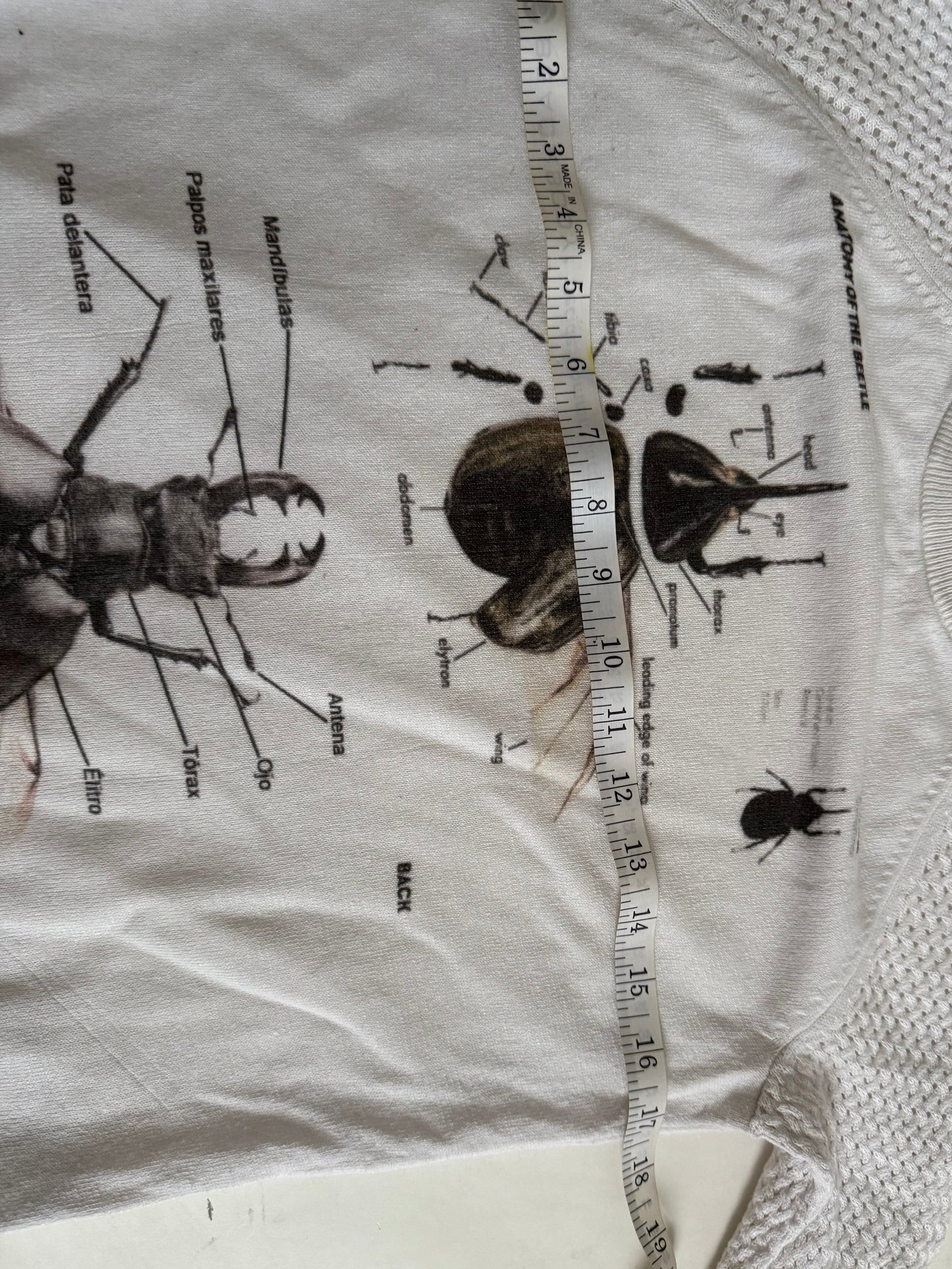Stag beetle sweater (S-M)