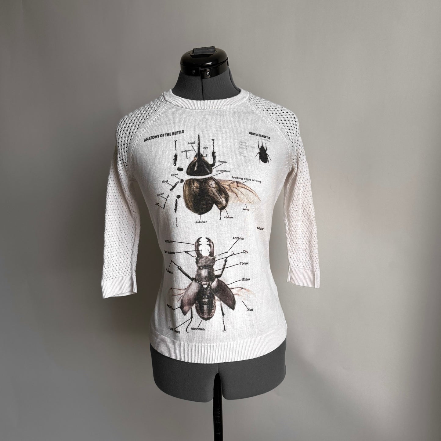 Stag beetle sweater (S-M)