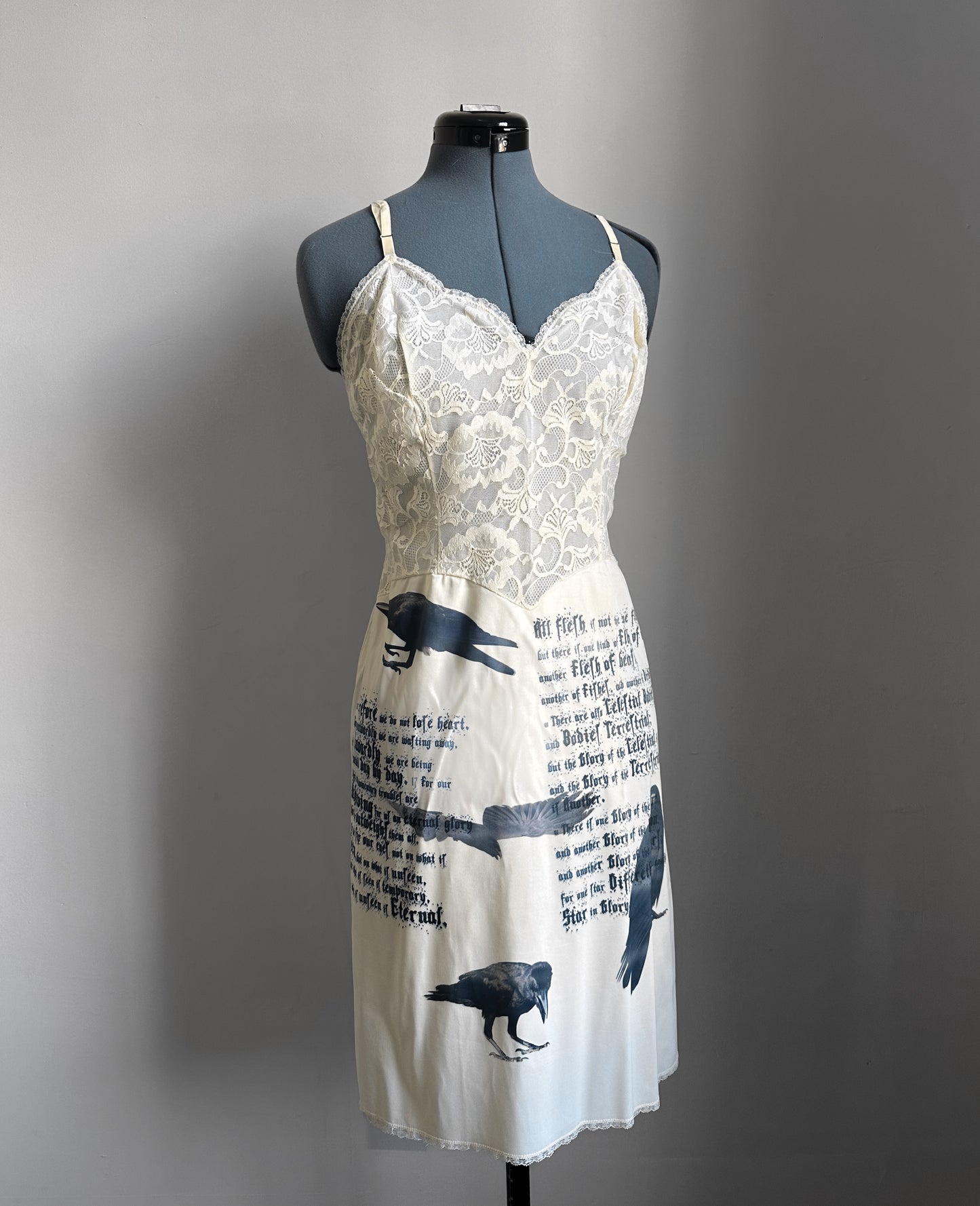 Crow dress (M)