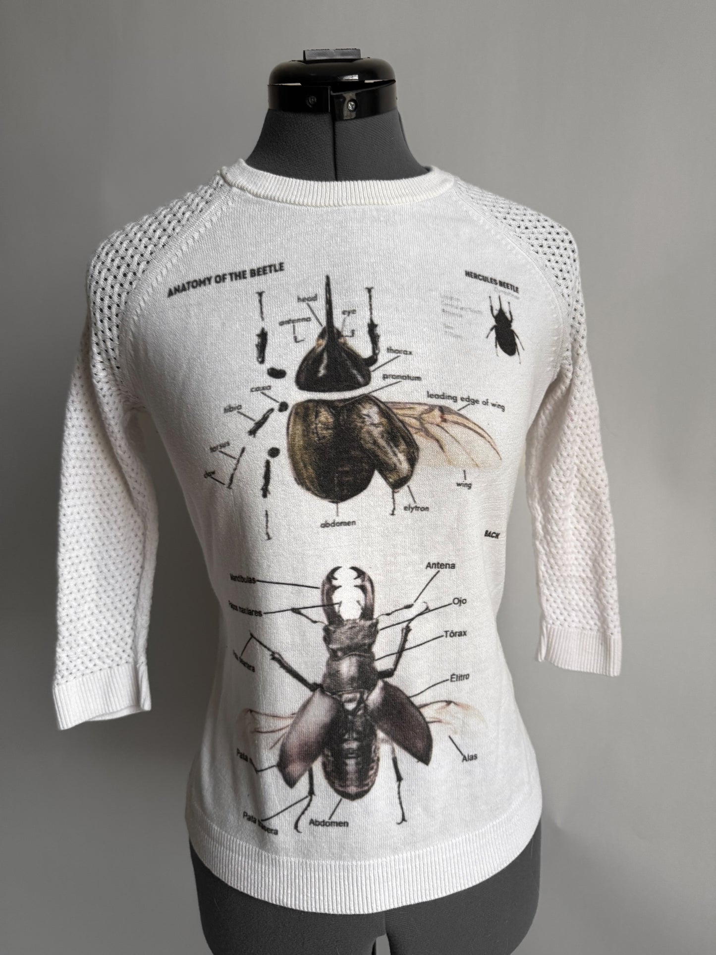 Stag beetle sweater (S-M)